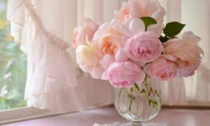 Стоит ли паниковать, если при овуляции появляются кровянистые выделения — мнение врачей