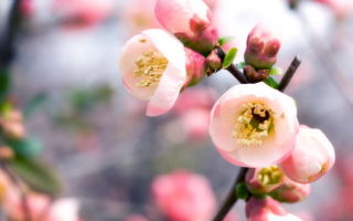 5 способов как рассчитать овуляцию с точностью 100%