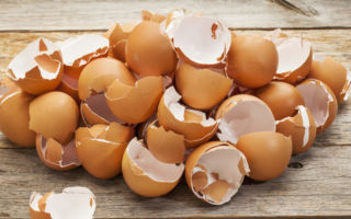 Почему не наступает овуляция ? физиологические и патологические причины + методы определения проблемы