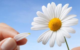 Как определить беременность в домашних условиях — проверенные способы