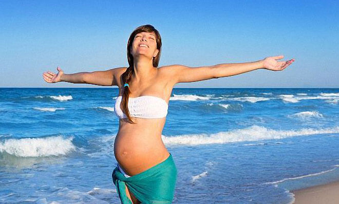 Какова функция плаценты