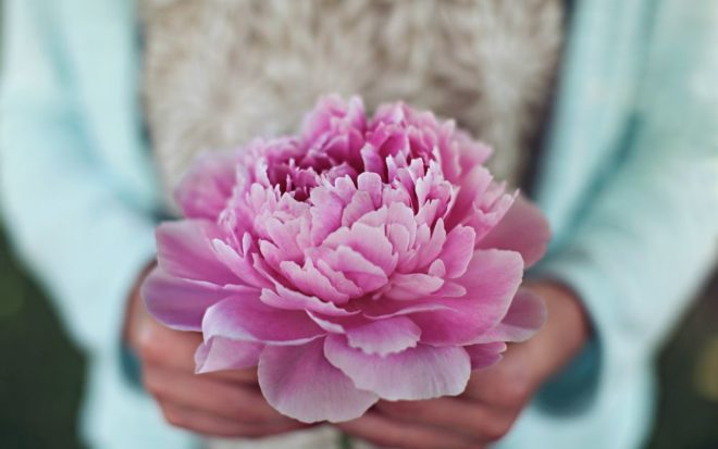 Что означают розовые выделения при беременности