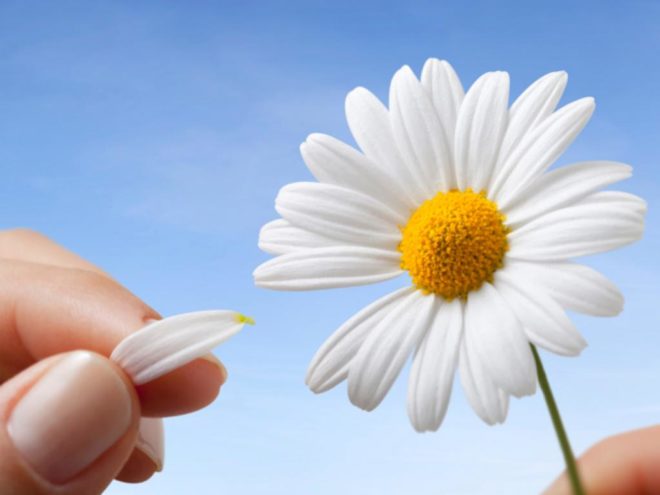 Определение беременности в домашних условиях