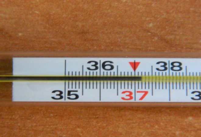 Какая температура при внематочной беременности