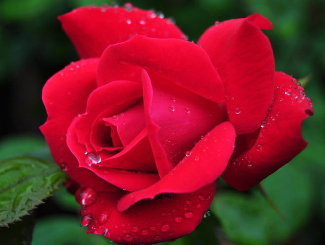 Причины кровотечения при овуляции